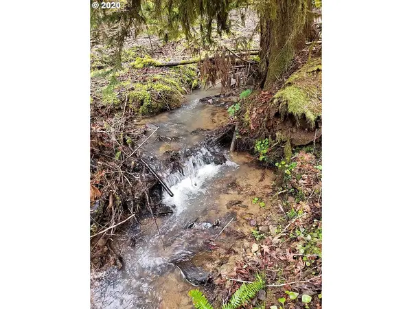 Cottage Grove, OR 97424,34370 ALLEN RD