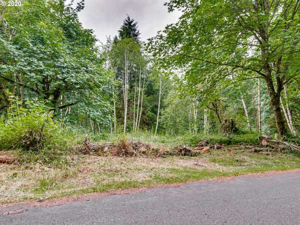 00 NE Echo Ridge RD, Brush Prairie, WA 98606