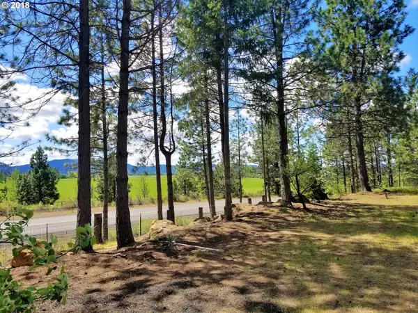 Glenwood, WA 98619,8 LIVELY LN