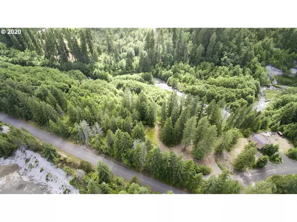 3 Lodge Pole LN, Cougar, WA 98616