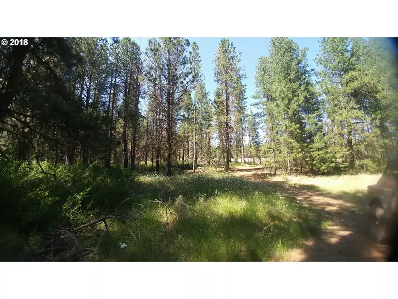 Pine creek RD, Bickleton, WA 99322