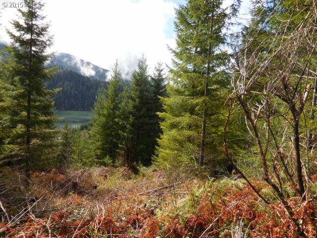 3 Marble Creek, Cougar, WA 98616