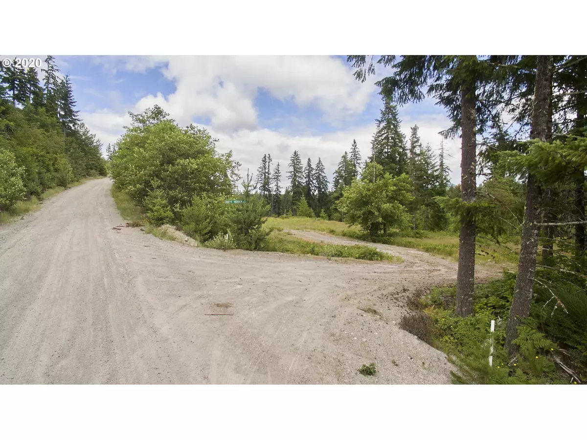 Cougar, WA 98616,1 Dolly Varden LN