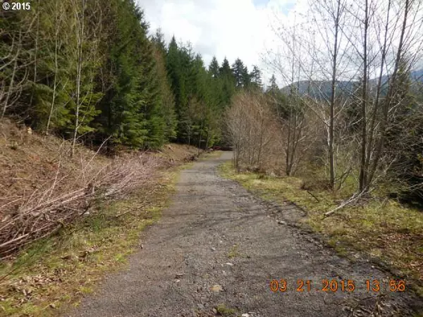 Cougar, WA 98616,3 Marble Creek