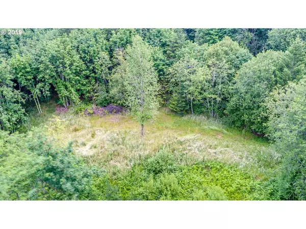 Woodland, WA 98674,335 HILLSDALE DR