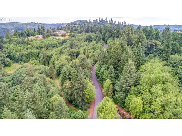 Woodland, WA 98674,335 HILLSDALE DR