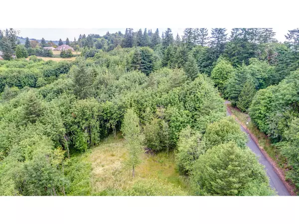 Woodland, WA 98674,335 HILLSDALE DR