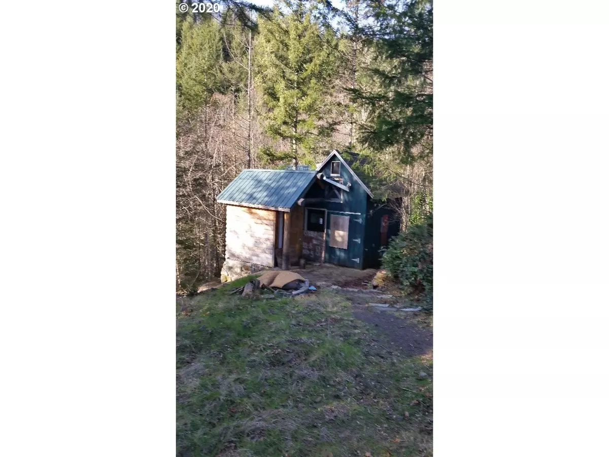 Ariel, WA 98603,123 BALD EAGLE RD #2