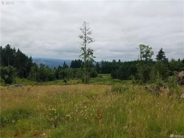 Woodland, WA 98674,543 LANE RD