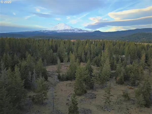 Trout Lake, WA 98650,36 Lava RD