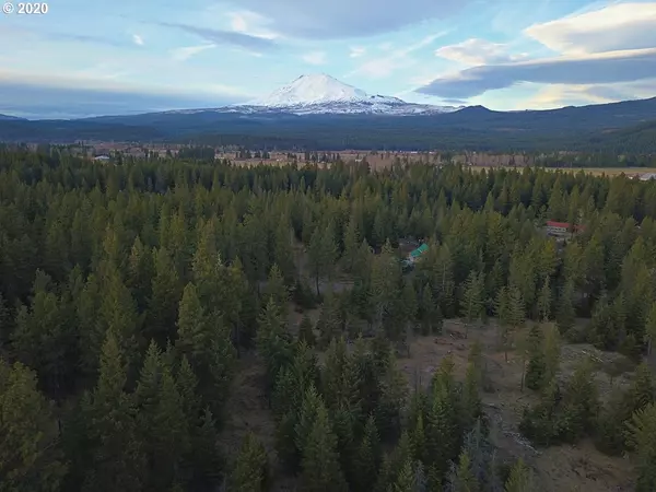 Trout Lake, WA 98650,36 Lava RD