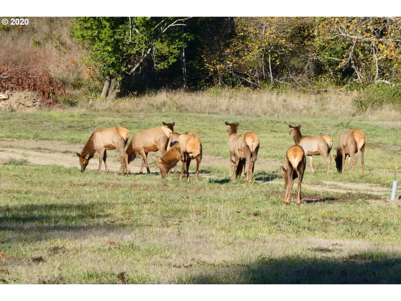 Saunders Creek lot 1 RD #2102, Gold Beach, OR 97444