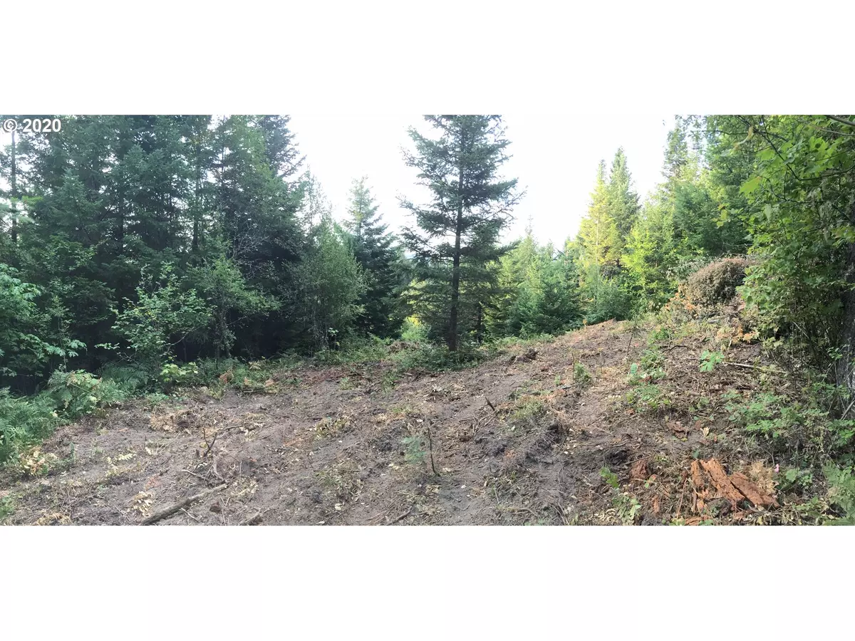 White Salmon, WA 98672,Buck Creek RD #Lot 2