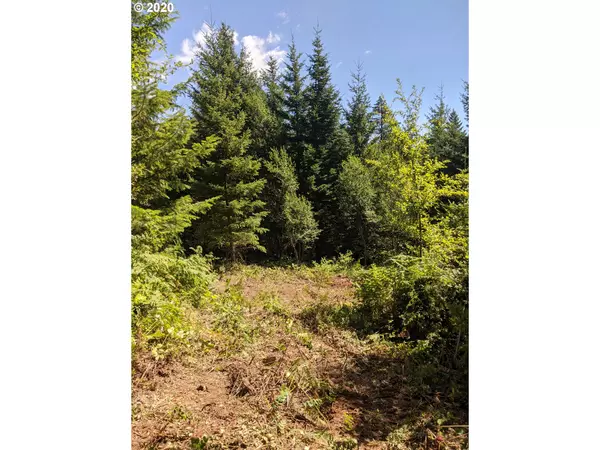 White Salmon, WA 98672,Buck Creek RD