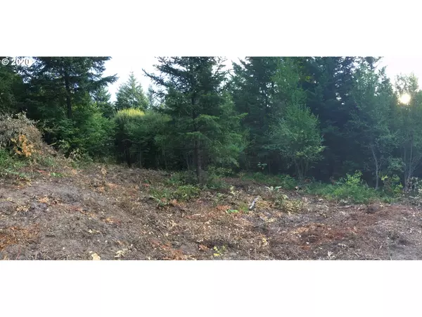 White Salmon, WA 98672,Buck Creek RD #Lot 2