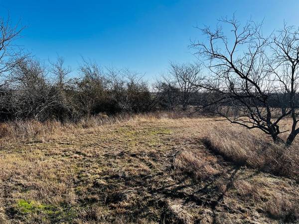 TBD HCR 3350 #Tract 20, Hubbard, TX 76648