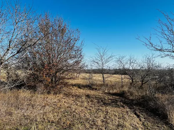 Hubbard, TX 76648,TBD HCR 3350 #Tract 20