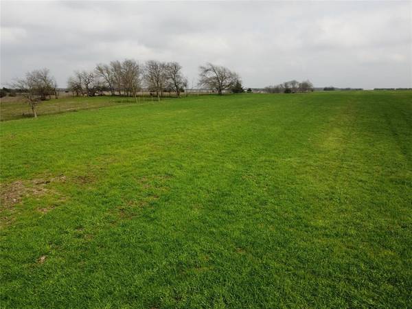 Celeste, TX 75423,12.5 ac CR 1094