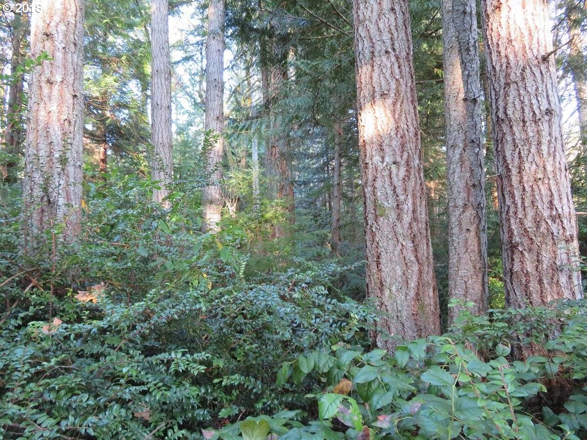 Silverdale, WA 98383,Lester RD