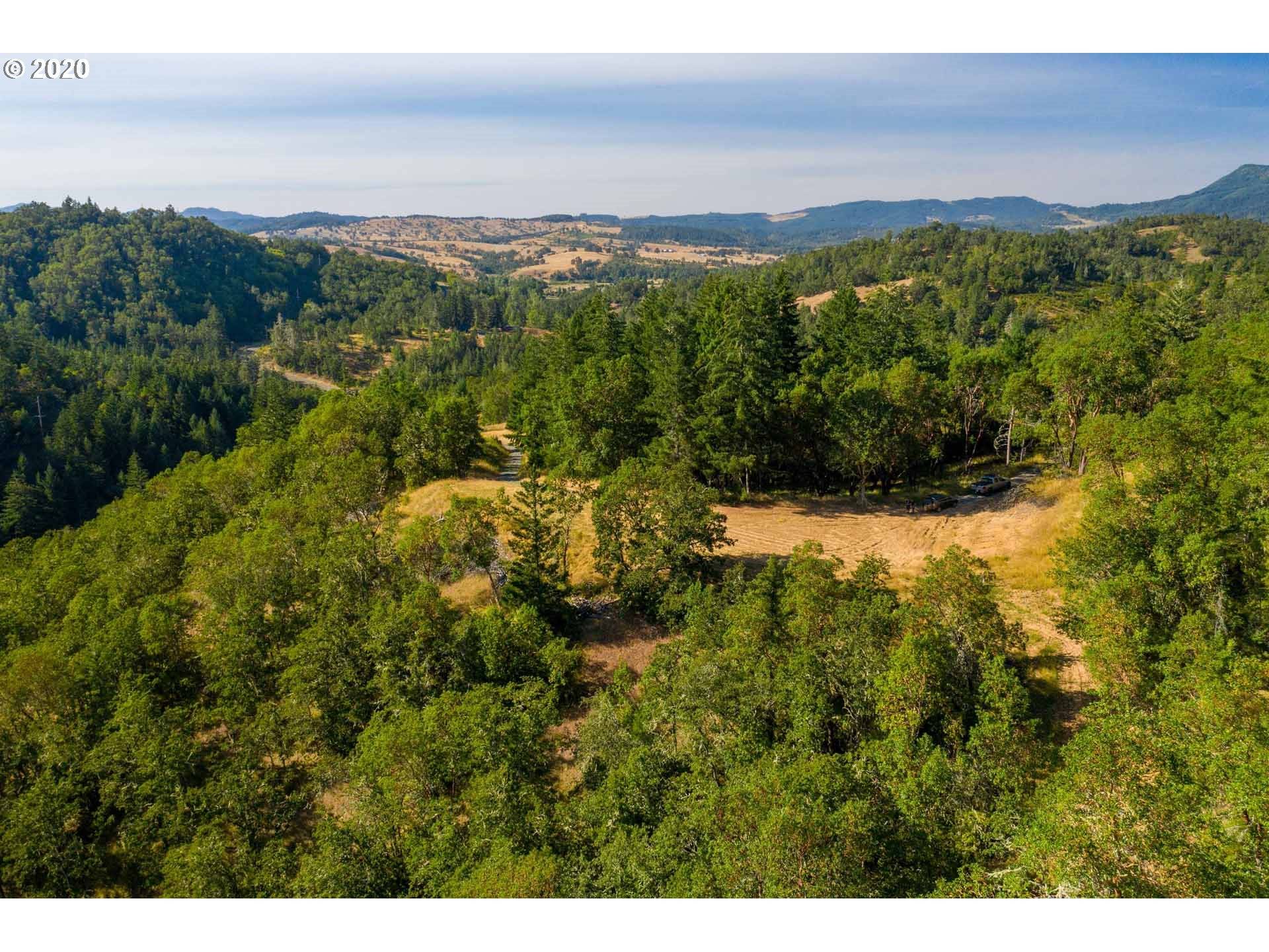 Oakland, OR 97462,1393 OLD PIONEER RD