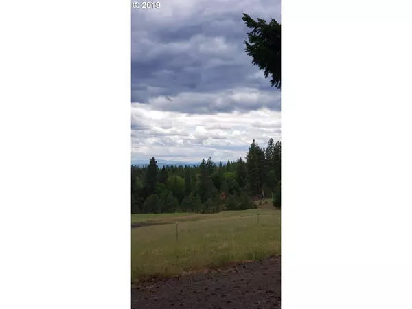 Goldendale, WA 98620,518 Tyler RD