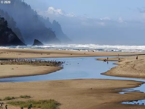 Neskowin, OR 97149,48988 U.S. Hwy101 S #226