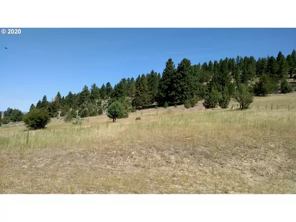 John Day, OR 97845,0 Buckhorn Estates