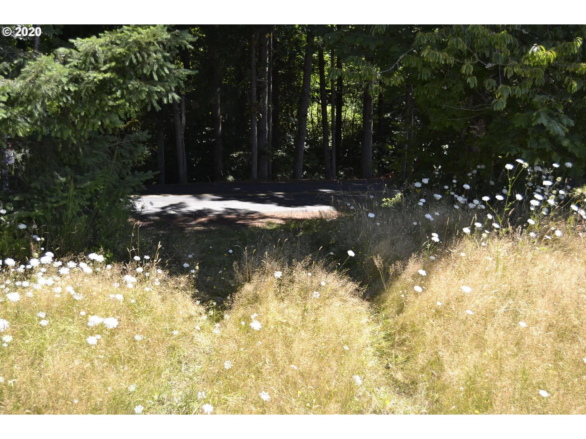 Woodland, WA 98674,801 Butte Hill RD