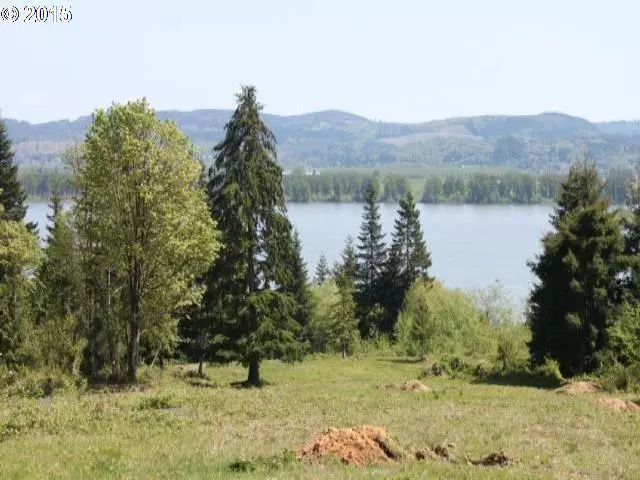 TwinSprings DR #Lot 3, Cathlamet, WA 98612