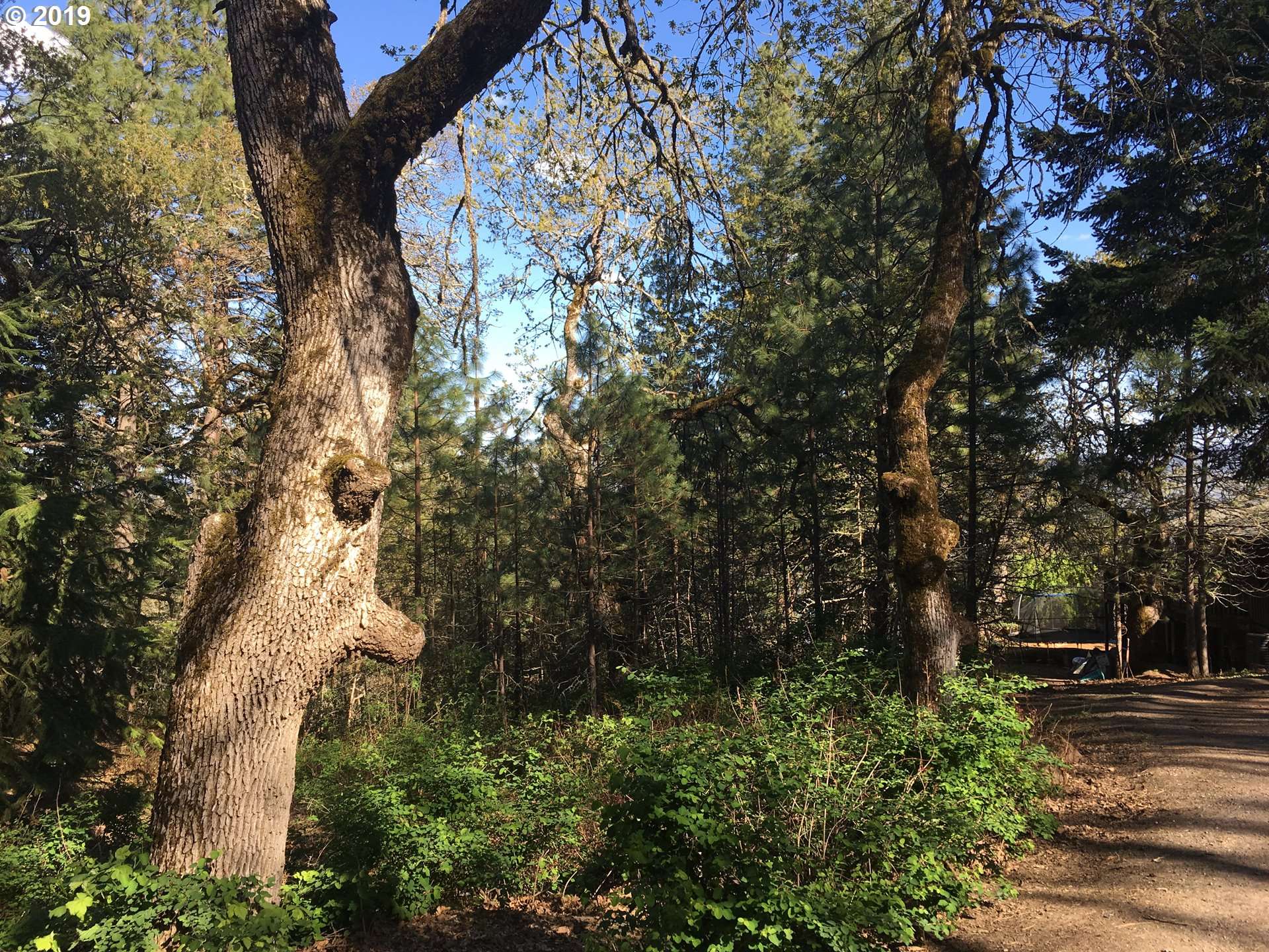 White Salmon, WA 98672,24 UPPER MCBRIDE RD