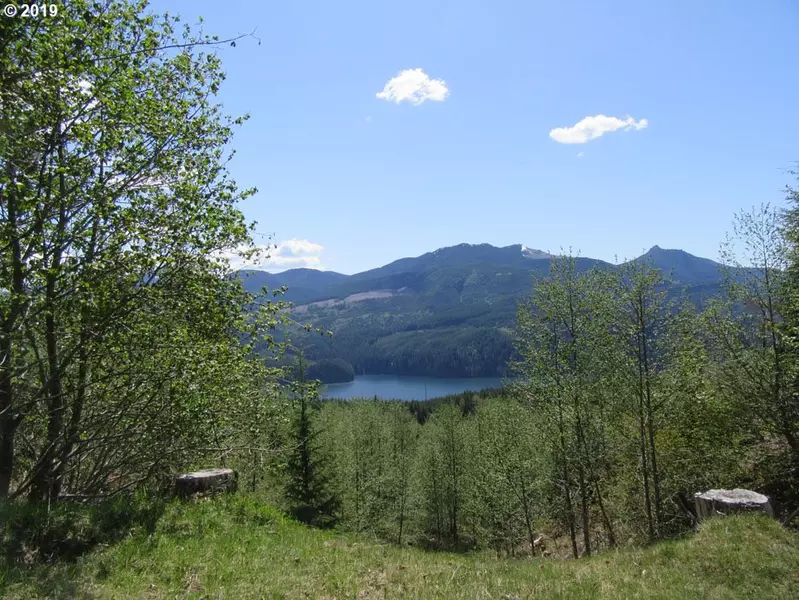 4 Marble Mtn RD, Cougar, WA 98616