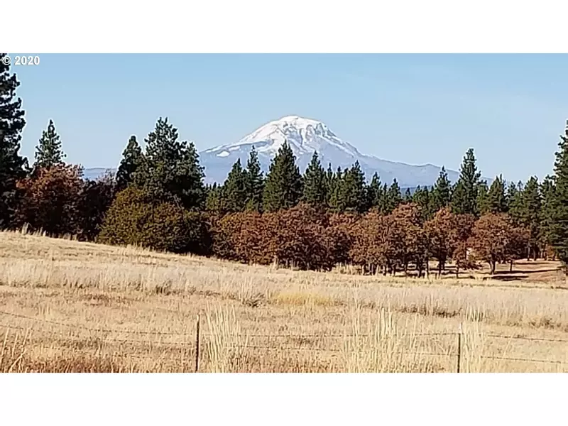 Arabian CT #LOT2A, Goldendale, WA 98620