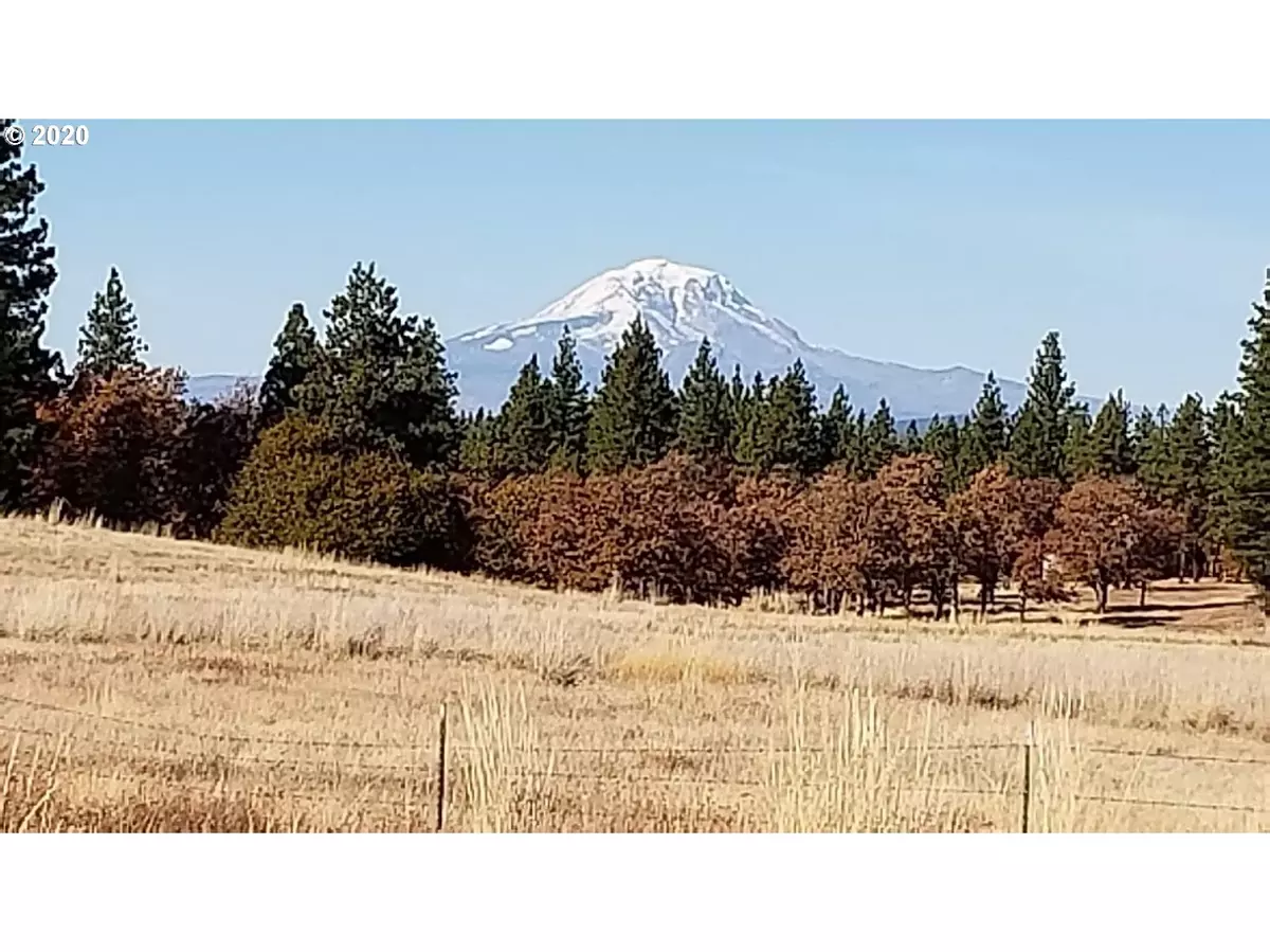 Goldendale, WA 98620,Arabian CT #LOT2A