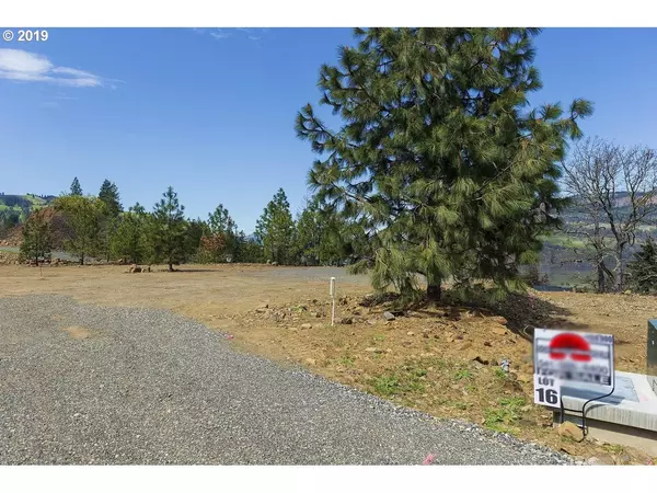 Mosier, OR 97040,1115 Penstemon CT #16