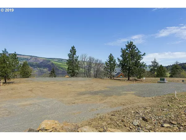 Mosier, OR 97040,1115 Penstemon CT #16