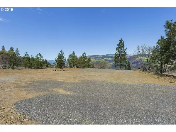 Mosier, OR 97040,1115 Penstemon CT #16