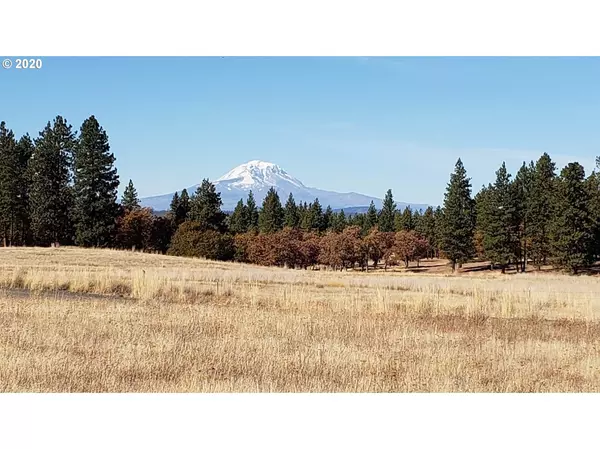 Goldendale, WA 98620,Arabian CT #LOT2A