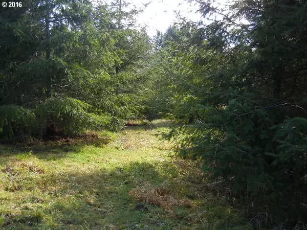 Woodland, WA 98674,185 PANDORA POINT RD