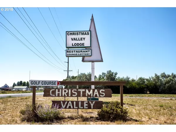 Christmas Valley, OR 97641,25S18E160007000