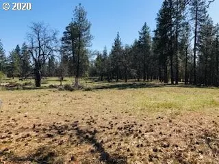 PINE FOREST RD, Goldendale, WA 98620