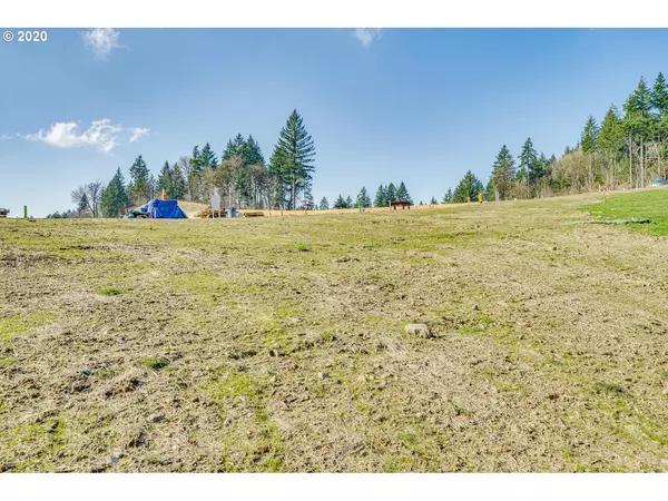 Camas, WA 98607,600 NE Province CT