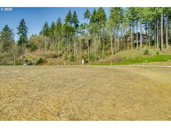 Camas, WA 98607,0 NE Province CT #29