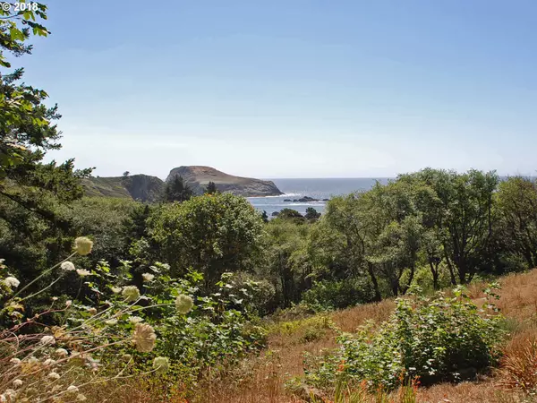 Brookings, OR 97415,Park Spur