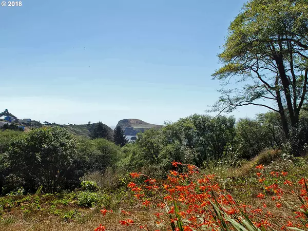 Brookings, OR 97415,Park Spur