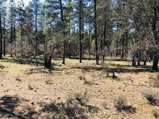 Goldendale, WA 98620,PINE FOREST RD #Lot 2