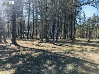 Goldendale, WA 98620,PINE FOREST RD #Lot 2