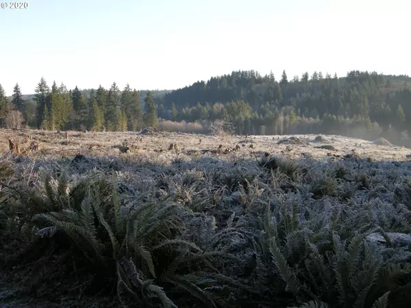 Rainier, OR 97048,Apiary RD