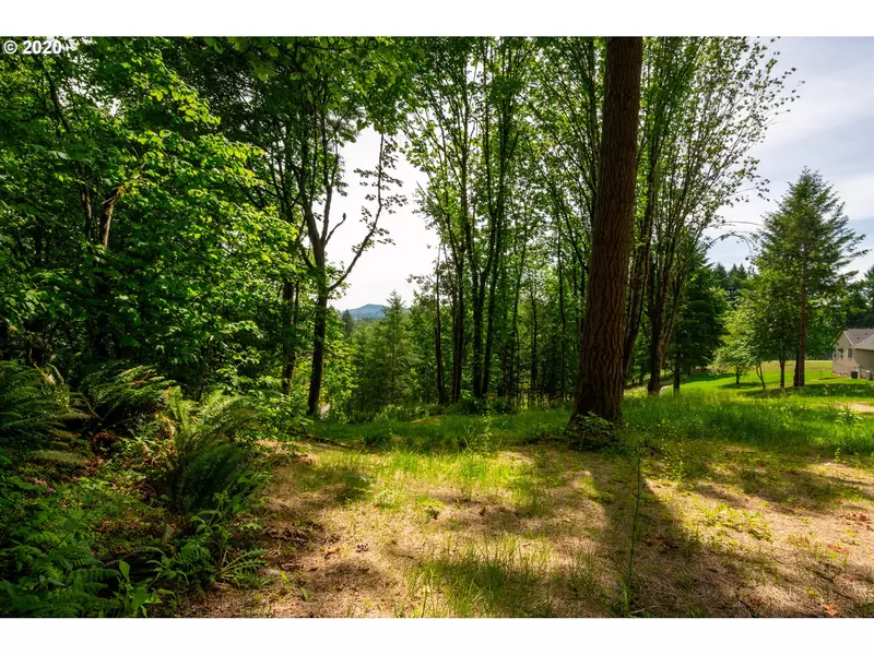 0 Raptor Ridge DR, Woodland, WA 98674