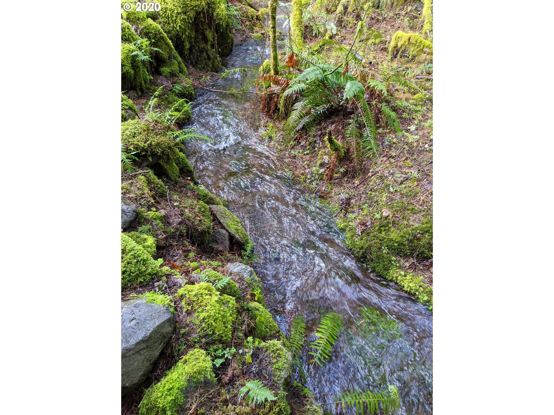 Rhododendron, OR 97049,25571 E PINNER RD
