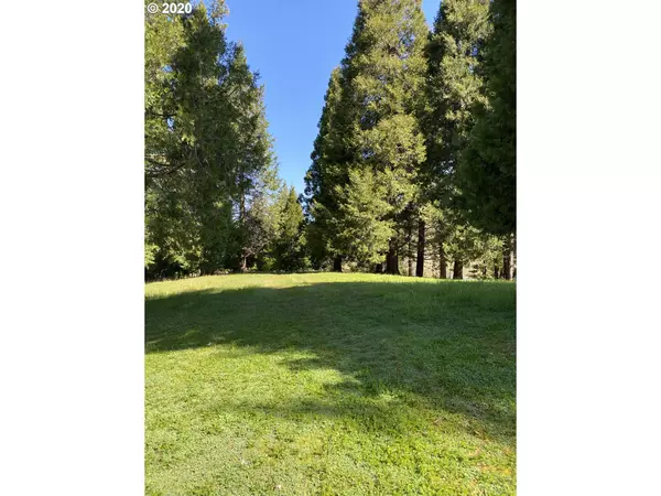 Riddle, OR 97469,514 CANYONVILLE-RIDDLE RD